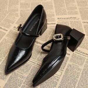 Black Elegant Women's Minimalist Pointed Toe Chunky Heel Pumps